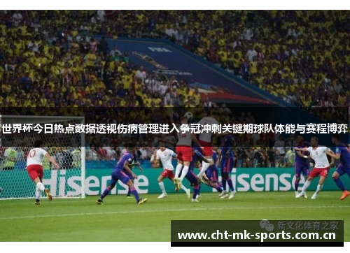 世界杯今日热点数据透视伤病管理进入争冠冲刺关键期球队体能与赛程博弈