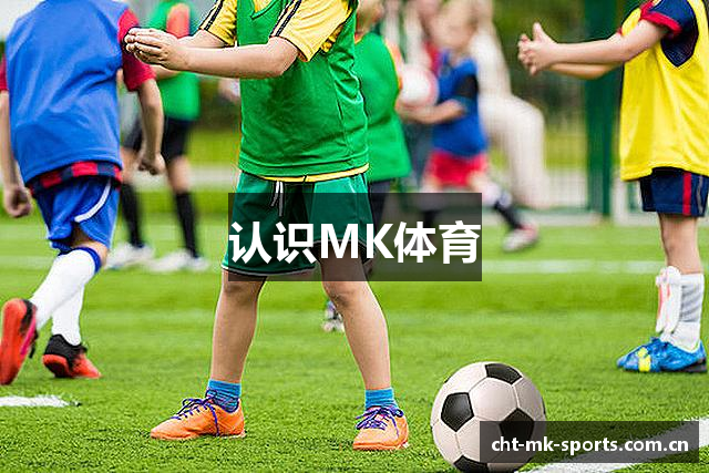 认识MK体育